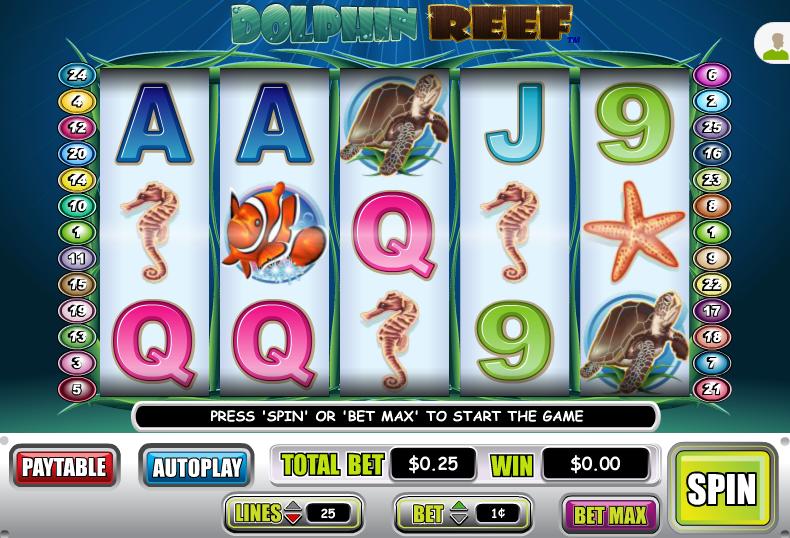 Dolphin Reef Video Slot