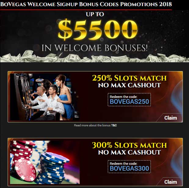 BoVegas Casino Promotions